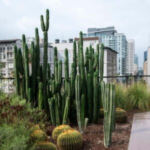 Landscap Planing 1